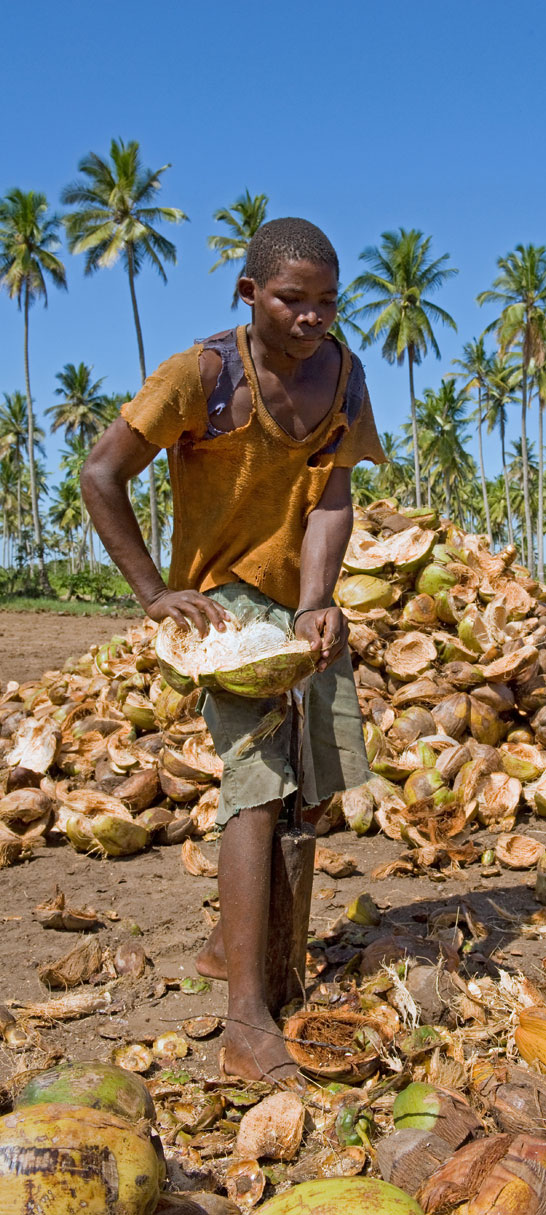A worker dehusks the coconuts&lt;p&gt; by hand to extract the shell.