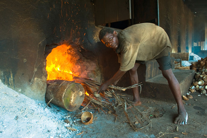 Palm logs are burnt to heat&lt;p&gt; the kiln from underneath.