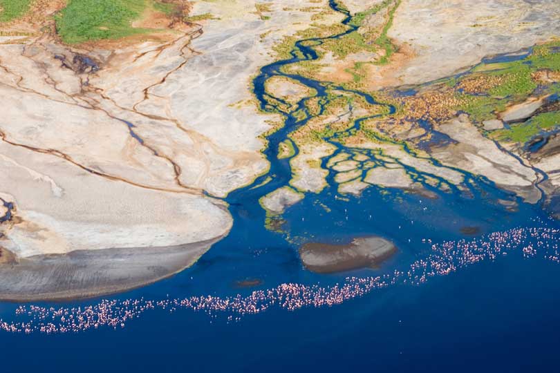 River delta with flamingos, Lake Natron, Tanzania